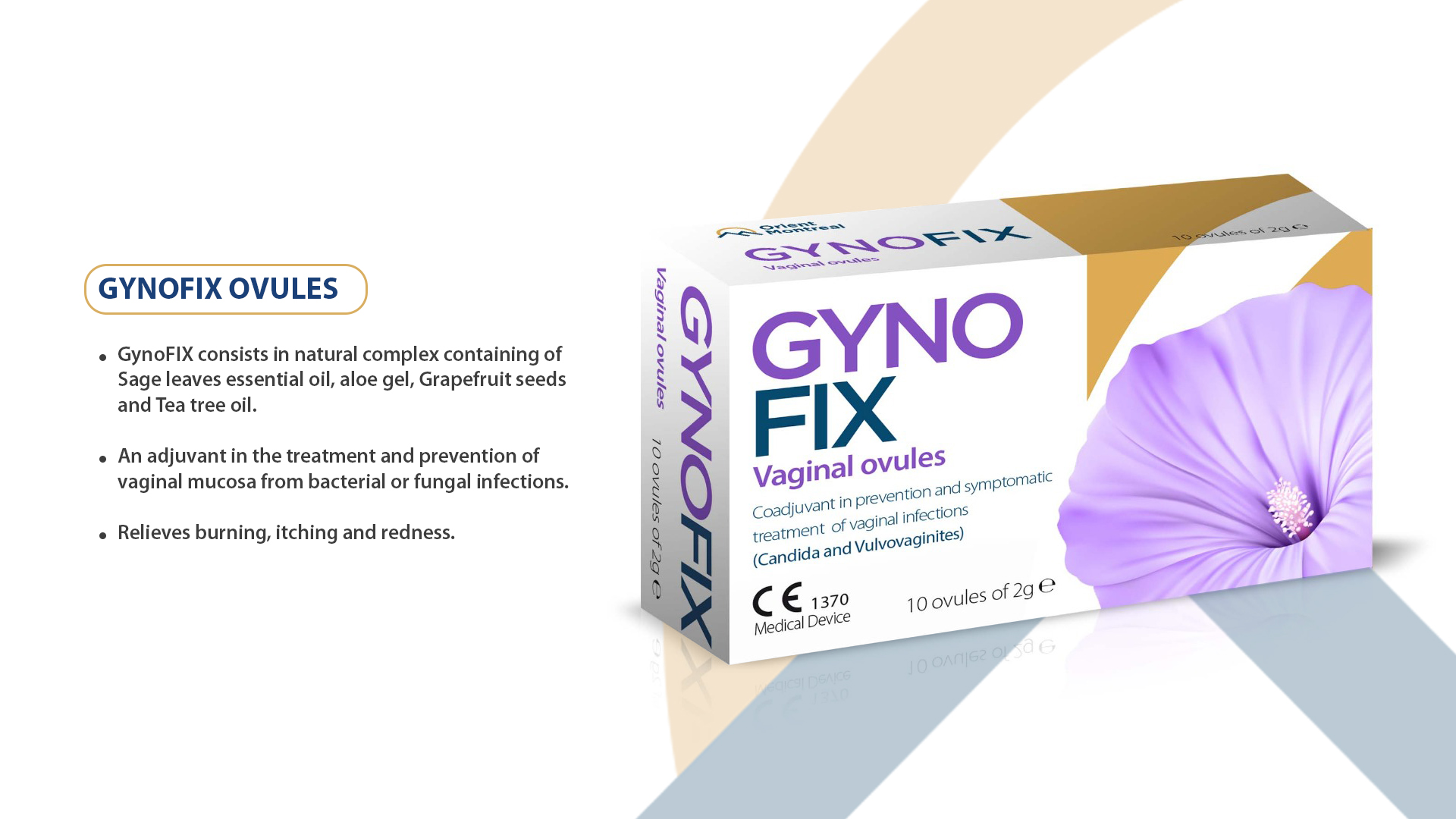 GynoFIX Ovules.jpg